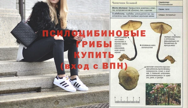 ECSTASY Балахна